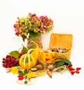 Pumpkins, nuts and flowers. Royalty Free Stock Photo