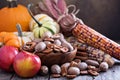 Pumpkins, nuts, indian corn and apples Royalty Free Stock Photo