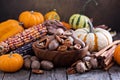 Pumpkins, nuts, indian corn and variety of squash Royalty Free Stock Photo