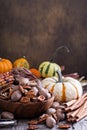 Pumpkins, nuts, indian corn and variety of squash Royalty Free Stock Photo