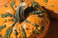 Closeup, pumpkins at Halloween pumpkin patch