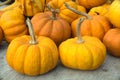 Pumpkins orange decoratives squash market farm for halloween or thanksgiving Royalty Free Stock Photo