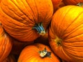 Pumpkins, Orange ,Fall and Thanksgiving