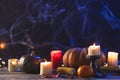 Pumpkins, oranges, corn cobs and candles with copy space on dark background Royalty Free Stock Photo