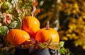 Autumn decor from pumpkins, berries and leaves on a white wooden background. Concept of Thanksgiving day or Halloween. Flat lay