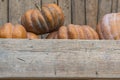 Pumpkins over old Wooden Background. Harvest. Halloween