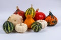 Pumpkins and Patison of various colors and fancy shapes on white. Pumpkins for Halloween. Royalty Free Stock Photo