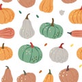 Pumpkins pattern. Autumn pumpkins seamless background. Autumn halloween vegetables banner. Vector illustration.