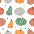 Pumpkins pattern. Autumn pumpkins seamless banner. Autumn halloween vegetables background. Vector illustration.