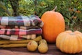 Pumpkins, pears, and a stack of folded checkered plaids on the wooden table in the autumn garden. Cozy fall concept.