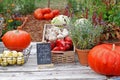 Pumpkins, peppers and garlic in wooden box, apples in a basket, lavender