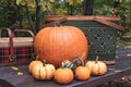 Pumpkins and picnic baskets Royalty Free Stock Photo