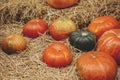 Pumpkins pile on hay stacks in city street, festive holiday rustic decor. Halloween festive decoration outdoor. Happy halloween. Royalty Free Stock Photo