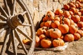 Pumpkins piled against a rustic stone wall