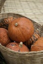 Pumpkins piled upon each other for sale