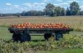 Pumpkins are piled high on a wooden wagon in a Michigan pumpkin field