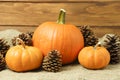 Pumpkins and pine cones arranged on burlap with a rustic wooden background. Thanksgiving Royalty Free Stock Photo