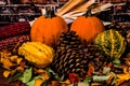 Pumpkins Pinecones Corn and Gourds-Fall Still life Royalty Free Stock Photo