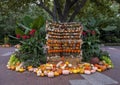 Pumpkins, plants and trees at the Dallas Arboretum in Texas.