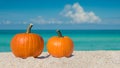 Pumpkins. Pumpkin on the beach. Autumn season composition. Two pumpkins on sea sand. Beach shore. Royalty Free Stock Photo