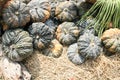 Pumpkins on the pumpkin patch Royalty Free Stock Photo