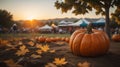 pumpkins on a pumpkin patch farm autumn fall festival with lights and people. ai generated Royalty Free Stock Photo