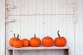 Pumpkins in a row