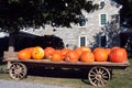 Pumpkins For Sale