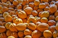 Mini-pumpkins For Sale at a Georgia Market