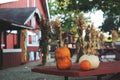 Pumpkins for sale. American farm and barns at autumn in Illinois. Royalty Free Stock Photo