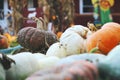 Pumpkins for sale. American farm and barns at autumn in Illinois. Royalty Free Stock Photo