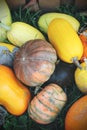 Pumpkins for sale. American farm and barns at autumn in Illinois. Royalty Free Stock Photo