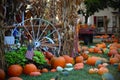 Pumpkins for sale. American farm and barns at autumn in Illinois. Royalty Free Stock Photo