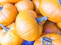 Pumpkins for sale