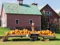 Pumpkins for sale at a farm stand