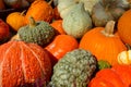 Pumpkins For Sale In Market Royalty Free Stock Photo