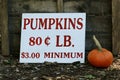Pumpkins For Sale Pumpkins at Pumpkin Time in New England