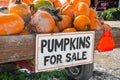 Pumpkins for Sale