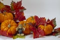 Pumpkins and Scarecrow