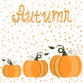 Pumpkins seamless pattern with lettering. Autumn background. Vector.