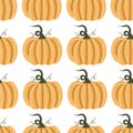 Pumpkins seamless pattern with lettering. Autumn background. Vector