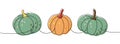 Pumpkins set. Autumn halloween pumpkins one line colored continuous drawing. Autumn halloween vegetables continuous one