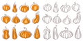 Pumpkins set black and white icons. Halloween collection. Vector illustration isolated on a white background. Royalty Free Stock Photo