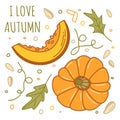 Pumpkins set with elements in color isolated on a white background for autumn or thanksgiving cards, t-shirt design, coloring page