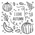 Pumpkins set with leaves and seeds in black color isolated on a white background for autumn or thanksgiving cards, t-shirt design Royalty Free Stock Photo