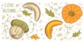 Pumpkins set with leaves and seeds in color isolated on white background for autumn or thanksgiving cards, t-shirt design, web Royalty Free Stock Photo