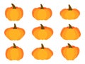 Pumpkins set on white background. Collection of orange pumpkins for Thanksgiving and Halloween. Traditional autumn design element Royalty Free Stock Photo