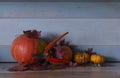 Pumpkins and shears