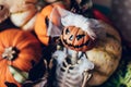 Pumpkins and skeleton pumpkin bride Royalty Free Stock Photo