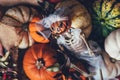 Pumpkins and skeleton pumpkin bride Royalty Free Stock Photo